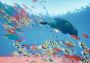 Abzu EN/DE/FR/IT/PT/RU/ZH/ES Japan Steam Digital Key
