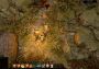 Age of Reforging: The Freelands EN/ZH/ZH Global Steam Digital Key