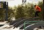 Session: Skate Sim - Waterpark & Chris Cole DLC EN Global Steam Digital Key