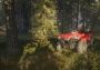 theHunter: Call of the Wild: ATV SABER 4X4 DLC EU Steam Digital Key