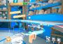 Super Chicken Catchers Global Steam Digital Key