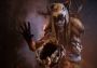 Far Cry 4 + Far Cry Primal - Bundle Turkey Xbox One/Series Digital Key