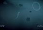 Lost In Space 2 EN/DE/FR/IT/ES Global Steam Digital Key