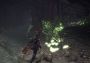 Monster Hunter: World Argentina Xbox One/Series Digital Key