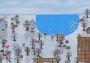 Lost in Woods 2 EN/RU Global Steam Digital Key