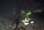 Monster Hunter: World - DLC Collection DLC EU Xbox One/Series Digital Key