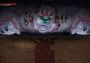 Warm Snow EN/JA/ZH/ZH Global Steam Digital Key