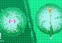 Uranus EN Global Steam Digital Key