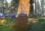 theHunter: Call of the Wild: Tents & Ground Blinds DLC Global Steam Digital Key