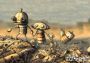 Braid + Machinarium + Osmos + Revenge of The Titans EN Global Steam Digital Key