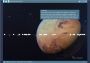 Homeworld: Deserts of Kharak - Expedition Guide DLC EN Global Steam Digital Key