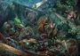 Bestiary - Bundle EN Argentina Xbox One/Series Digital Key