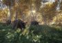 theHunter: Call of the Wild - Layton Lake Cosmetic Pack DLC Global Steam Digital Key