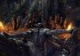 TESO The Elder Scrolls Online Collection: Blackwood - Collector’s Edition EN/DE/FR/RU Global Official website Digital Key