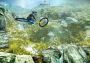 Shred! - Remastered EN Argentina Xbox One/Series Digital Key