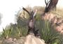 Paperbark Global Steam Digital Key