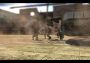 Full Spectrum Warrior EN/DE/FR/IT/KO/ES Global Steam Digital Key