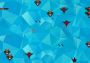 Brother Wings EN Global Steam Digital Key
