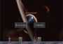 Defy Gravity Extended Global Steam Digital Key