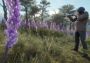 theHunter: Call of the Wild - Weapon Pack 2 DLC EU Steam Digital Key