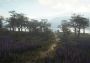 theHunter: Call of the Wild - Parque Fernando DLC Canada Xbox One/Series Digital Key