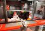 DooM in the Dark 2 EN/DE/PT/RU/ZH Global Steam Digital Key