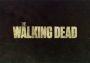The Walking Dead EN Global Steam Digital Key