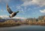 theHunter: Call of the Wild - Emerald Coast Cosmetic Pack DLC Global Steam Digital Key