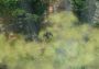SpellForce 3: Fallen God DLC Global Steam Digital Key