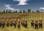 Rome: Total War Gold Edition Global Steam Digital Key