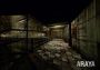 ARAYA EN/ZH Global Steam Digital Key