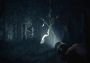 Blair Witch Global Steam Digital Key