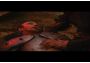 Realms of the Haunting EN Global Steam Digital Key