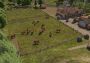 Banished Global GOG Digital Key