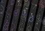 One More Line EN Global Steam Digital Key