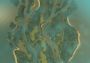 Cities: Skylines - Content Creator Pack: Map Pack DLC Global Steam Digital Key