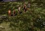 Rise of Man EN/ZH Global Steam Digital Key