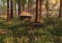 The Forest - Steam Account EN Global Steam Digital Key