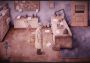 Earthworms EN/PL Global Steam Digital Key