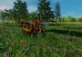 Professional Lumberjack 2015 Global Steam Digital Key