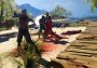 Dead Island Definitive Edition EU Steam Digital Key