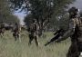 Arma 2: Army of the Czech Republic DLC EN/FR/IT/CS/RU Global Steam Digital Key