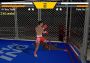 Muay Thai Fighting Global Steam Digital Key