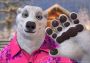 FaceRig Strong Paws DLC EN Global Steam Digital Key