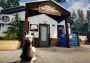 Animal Shelter Simulator EN EU Xbox One/Series Digital Key