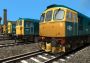 Train Simulator: BR Blue Diesel Electric Pack DLC EN/DE/FR Global Steam Digital Key