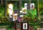 The Far Kingdoms: Awakening Solitaire EN/DE Global Steam Digital Key