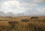 theHunter: Call of the Wild - Diamond Bundle Argentina Xbox One/Series Digital Key