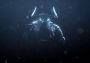 Pillars of Eternity II: Deadfire - Beast of Winter DLC Global Steam Digital Key