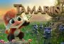 Tamarin Global Steam Digital Key